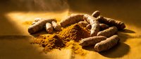 Fresh turmeric roots with golden powder spice on wooden surface. Natural anti-inflammatory ingredient for cooking, wellness and traditional medicine.