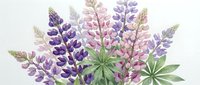 Watercolor lupine flowers in purple and pink shades with green leaves on white background, botanical floral arrangement for spring garden designs.