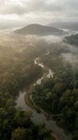 Aerial view of misty river winding through lush green forest hills at dawn with dramatic fog and soft morning light creating atmospheric landscape scenery.