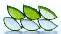 Fresh aloe vera plant slices with water drops arranged in rows showing transparent gel texture and green skin on white background for skincare concept.