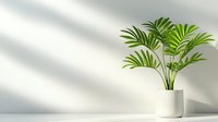 Tropical palm plant in minimalist white pot against clean white wall with soft shadow patterns, perfect for modern home decor.