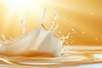 Creamy milk splash crown forming on golden liquid surface with droplets suspended in warm ambient light.