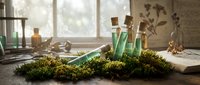 Natural herbal medicine bottles with green liquid surrounded by fresh moss on rustic wooden surface near bright window for wellness and aromatherapy.