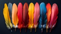 Colorful feathers arranged in row on dark background. Vibrant plumage collection featuring yellow, red, blue, pink, orange hues for creative design projects.