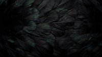 Dark iridescent feather texture with metallic green and purple sheen creating natural organic pattern for luxury design backgrounds and nature-inspired projects.
