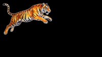 Leaping tiger with orange and black stripes isolated on transparent background, ready for t-shirts, stickers, clipart, and print-on-demand designs.