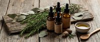 Natural essential oil bottles with fresh herbs rosemary and eucalyptus on rustic wooden background for aromatherapy wellness and spa treatments.