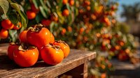 Fresh ripe persimmons on wooden table with blurred orchard background, glowing orange fruits in warm sunlight at harvest time.