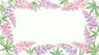 Watercolor floral frame with pink and purple lupine flowers and green leaves on white background for wedding invitations and greeting cards.