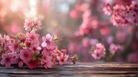 Pink cherry blossoms on wooden surface against blurred spring background with soft sunlight and bokeh effect, romantic floral composition.