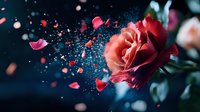 Coral rose bloom with scattered petals floating in dark blue atmosphere, creating magical romantic mood with bokeh light effects and soft focus artistic photography.
