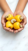 Hands holding fresh yellow cashew fruits with nuts attached, displayed on white marble background. Organic tropical produce for healthy eating and nutrition concepts.