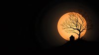 Silhouette of person sitting under bare tree against large orange moon on dark background creating peaceful meditation scene for wellness and mindfulness content.