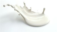 White milk splash with dynamic droplets and crown formation isolated on white background for dairy product advertising and food design projects.