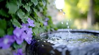 Purple flowers bloom beside stone water fountain with splashing droplets in peaceful garden setting for relaxation and meditation spaces.