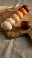 Fresh farm eggs in various natural colors arranged on rustic wooden cutting board showcasing organic poultry diversity for cooking and baking recipes.