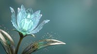 Crystal clear water droplets on delicate blue flower petals creating magical morning dew effect with soft bokeh background for nature photography.