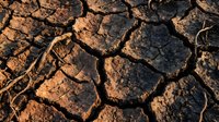 Cracked and parched earth surface showing severe drought conditions, with deep fissures in dry soil. Use for environmental, climate change, and sustainability projects.
