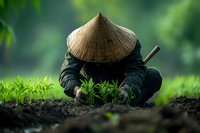 Asian farmer in conical hat planting rice seedlings in paddy field, working in traditional agriculture with lush green background.
