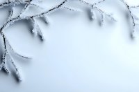 Delicate frost crystals on winter tree branches against soft blue background create minimalist natural frame with copy space for seasonal designs.