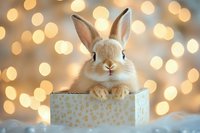 Adorable bunny rabbit peeking out of decorative gift box against soft golden bokeh lights background, creating magical holiday atmosphere.