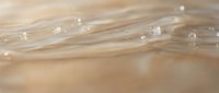 Close-up of blonde hair strands with water droplets creating natural shine and texture for beauty and haircare concepts.