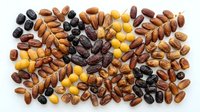 Assorted dried fruits and nuts mix including dates, raisins, almonds and yellow berries isolated on white background for healthy snacking and cooking.