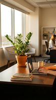 Modern office workspace with laptop, plant and coffee cup on wooden desk. Businesswoman working in background near window with natural light for productivity.