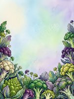 Watercolor illustration of fresh cruciferous vegetables including cauliflower, broccoli, and cabbage arranged on bottom and sides with soft pastel gradient background, suitable for organic food packaging and culinary designs.