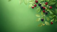 Fresh blackberries and raspberries on branch with green leaves against blurred emerald background, natural organic berries composition for food design.