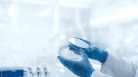 Scientist in blue latex gloves holding petri dish in laboratory setting, suitable for medical research, healthcare, and scientific study projects.