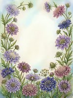 Watercolor floral frame with purple, blue and pink wildflowers forming a border around a soft pastel center for text or design.