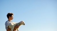 Young man with curly brown hair and light skin tone holding a small brown dog against clear blue sky background, outdoor pet lifestyle portrait.