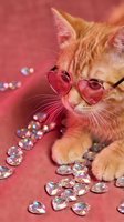 Adorable orange tabby kitten wearing pink heart-shaped sunglasses surrounded by sparkling rhinestone gems on coral pink background for fashion concepts.