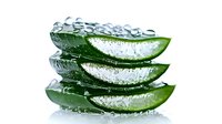 Fresh aloe vera plant leaves with water drops stacked on white background, natural organic skincare ingredient for cosmetics and healing products.