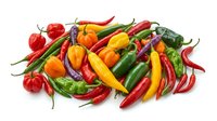 Fresh assorted chili and bell peppers in red, yellow, orange and green varieties isolated on white background, ready for culinary design projects.