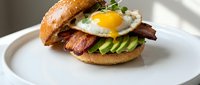 Gourmet breakfast sandwich with fried egg, crispy bacon and fresh avocado on artisan bun served on white plate for restaurant menu and food photography.