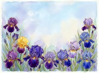 Watercolor painting of purple and yellow iris flowers with green stems arranged in a garden border against a soft pastel sky background, suitable for botanical art, floral designs, and nature-themed projects.