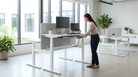 Woman with dark hair and medium complexion working at adjustable standing desk in modern office with floor-to-ceiling windows, potted plants, and contemporary furniture for corporate workspace design.
