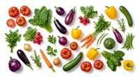 Fresh organic vegetables and herbs arranged on white background including tomatoes, eggplants, peppers, carrots, radishes and leafy greens for healthy cooking.