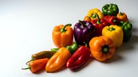Fresh colorful bell peppers in various colors including red, yellow, orange, and green arranged on white background for cooking, recipe, nutrition, and healthy eating content.