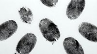 Fingerprints scattered on white background, forensic evidence for criminal investigation, law enforcement, security, identity verification, and detective work applications.