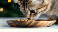 Striped cat sniffing dry food from wooden bowl against blurred bokeh background. Close up view of domestic pet during feeding time shows natural behavior.