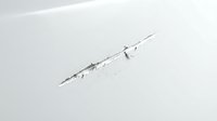 Garfish isolated on white background, suitable for marine life illustrations, educational materials, seafood packaging, and design projects.