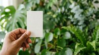Person with medium skin tone holding blank white business card against lush green foliage background, suitable for branding, corporate identity, and botanical business concepts.