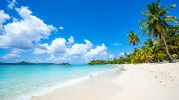 Tropical paradise beach with white sand, turquoise water and palm trees under blue sky with fluffy clouds. Vacation destination for relaxation and travel.