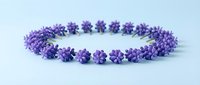Purple lavender flower crown wreath isolated on white background for wedding decoration, spa aromatherapy and natural botanical design projects.