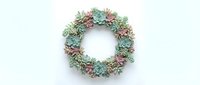 Colorful succulent wreath with pink and green plants arranged in circular pattern on white background for home decor and crafting projects.