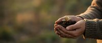 Hands holding rich dark soil with small plant seedling, symbolizing growth, agriculture, and environmental care in warm natural lighting.