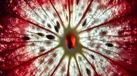 Extreme macro photography of red apple cross section showing seeds and flesh in dramatic lighting, revealing natural geometric patterns and textures in fruit anatomy.